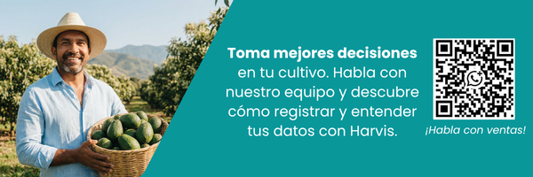 Tu suelo puede retener más fósforo del que tu cultivo puede usar