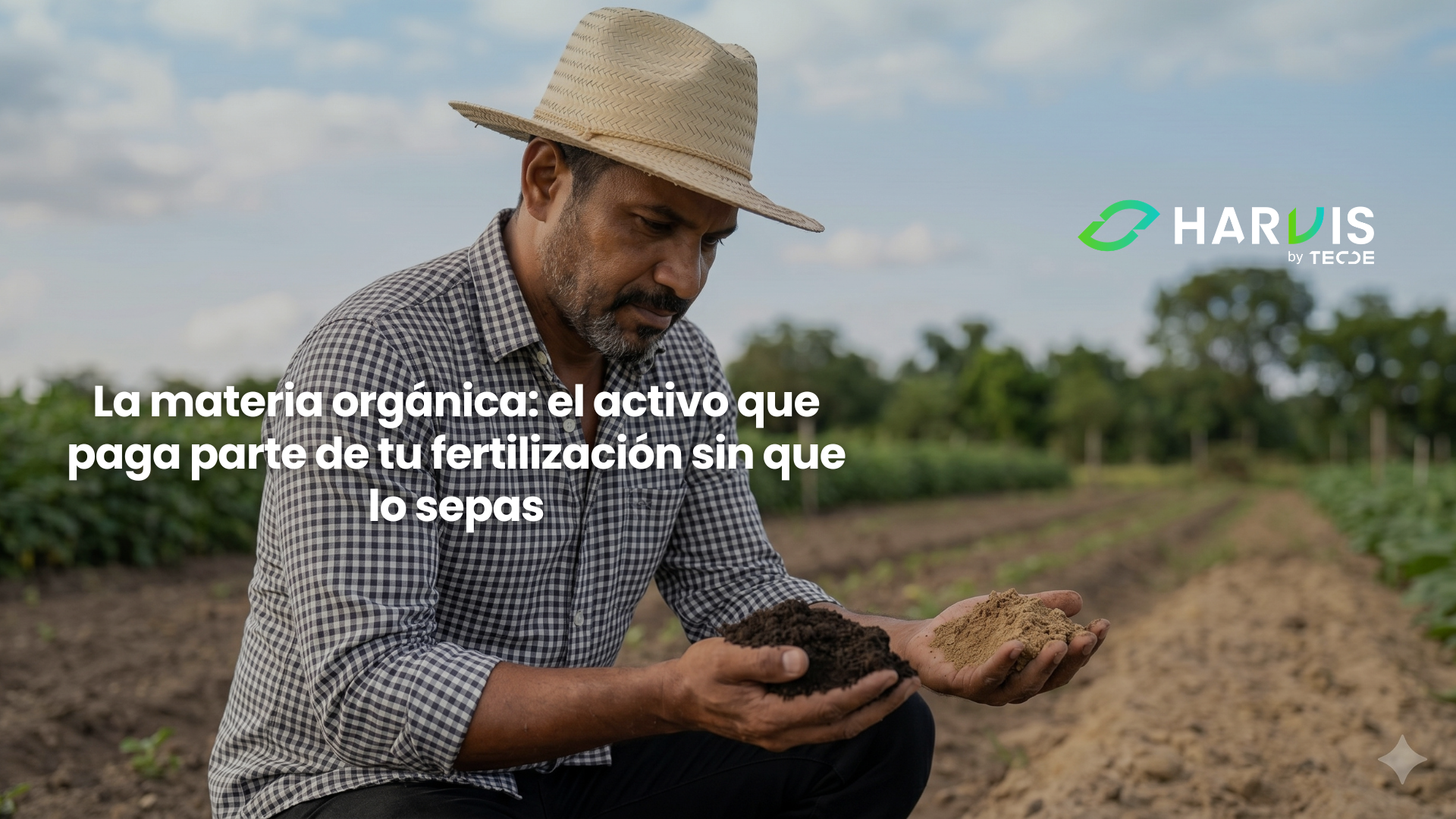 La materia orgánica: el activo que paga parte de tu fertilización sin que lo sepas